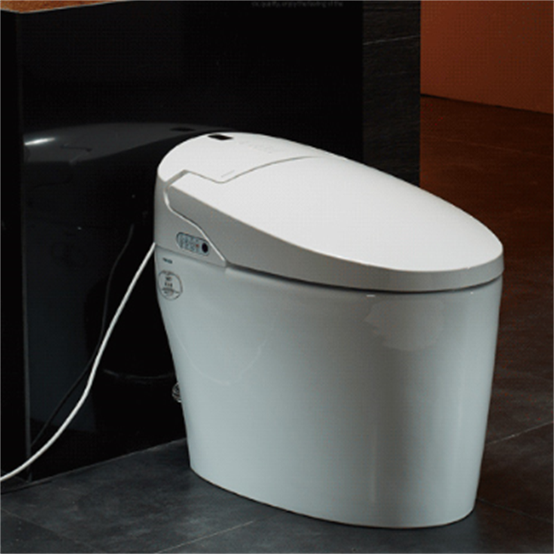 法恩莎 智能马桶 16105-b