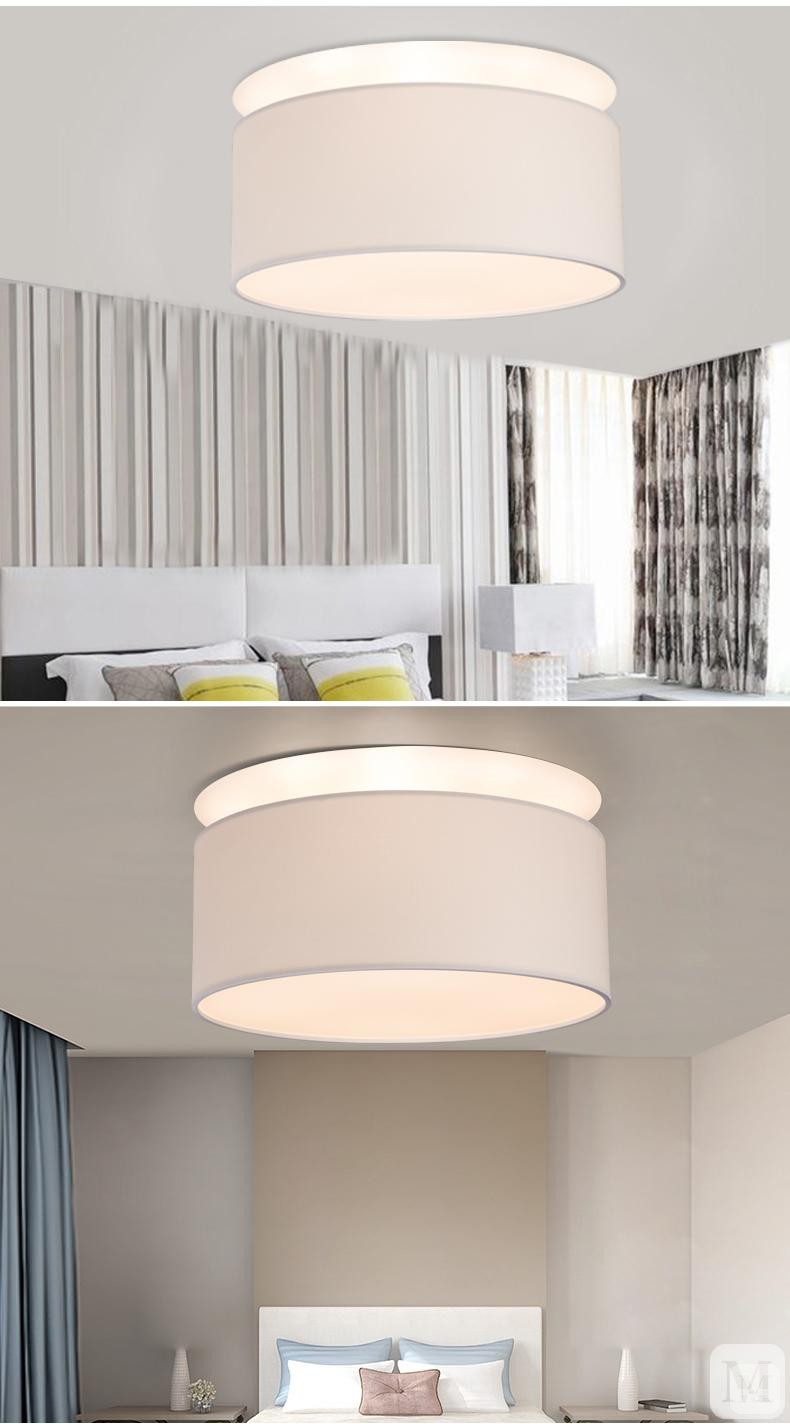 新特丽 吸顶灯 004